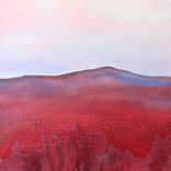 They Rise by Orfhlaith Egan