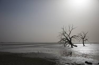 Sunset at The Salton Sea thumb