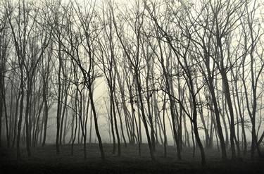 Original Fine Art Landscape Photography by Hrvoje Fiuri