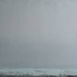 Gray nuances by Igor Nekraha