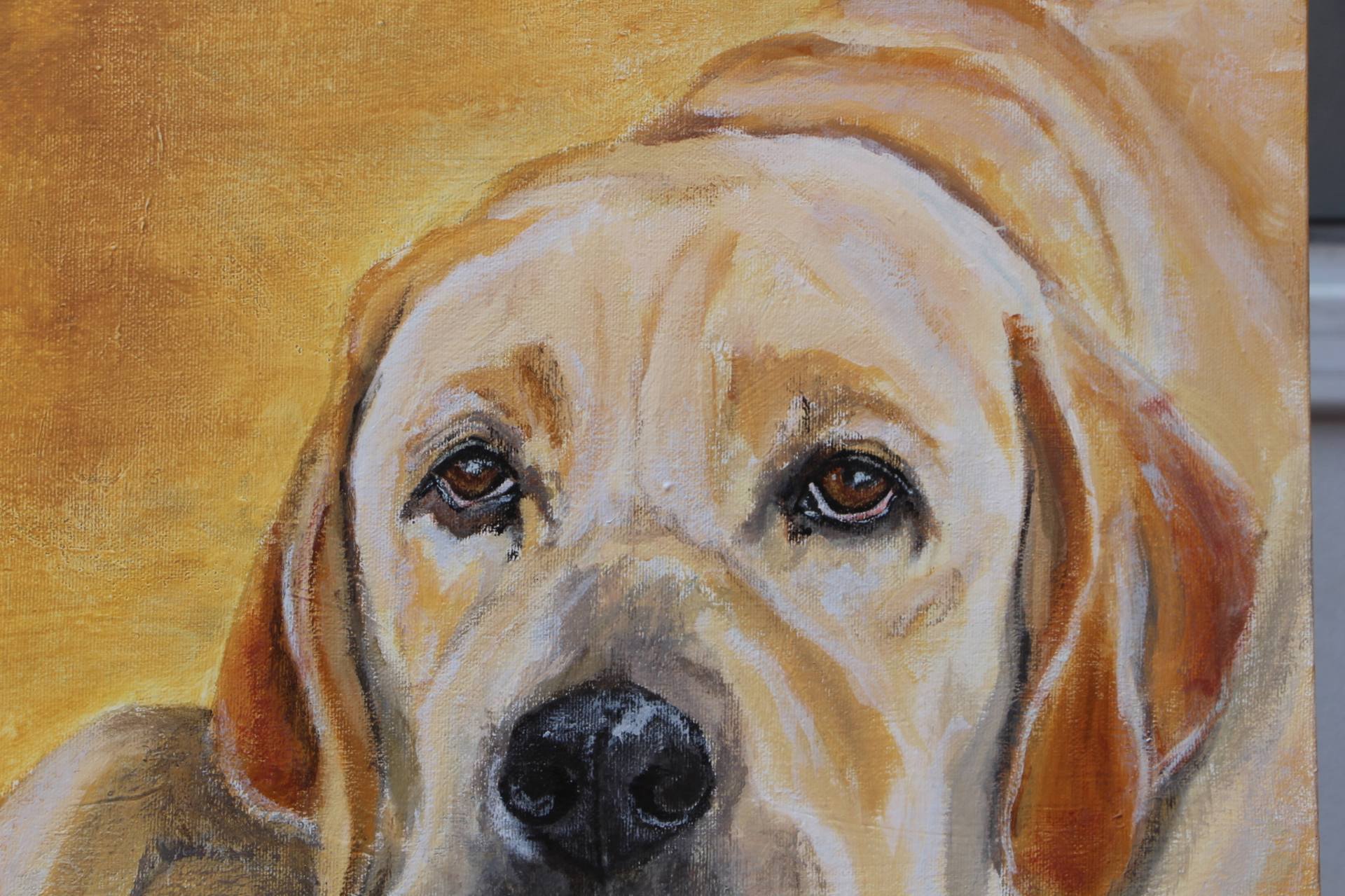 yellow lab on bed painting