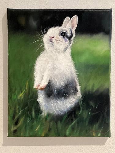 Original Realism Animal Paintings by Clark Prosperi