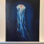Jelly Fish by Clark Prosperi