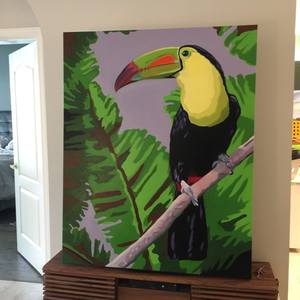 Tucano Brazil