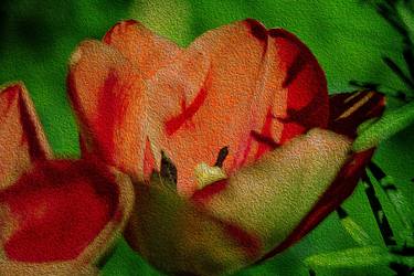 Jardin 4850 Canvas thumb