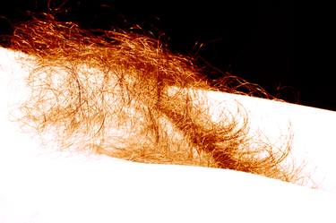 Bushfire - Limited Edition 1 of 3 of this size thumb