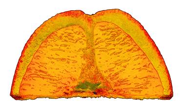 La demi Orange - Limited Edition 1 of 3 of this size thumb