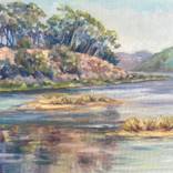 Batiquitos Eucalyptus by Karen Haub