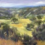 California Gold, Santa Ynez by Karen Haub