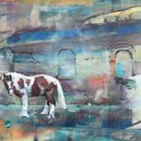 Collection Horses
