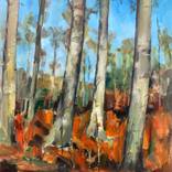 Collection Trees and Nature