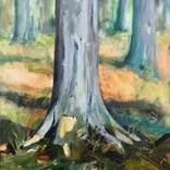 Collection Trees and Nature
