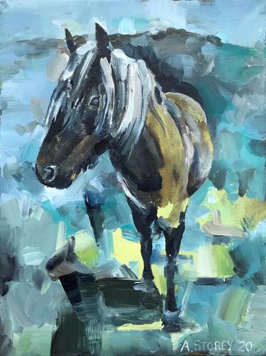 Original Fine Art Horse Paintings by Andrew Storey
