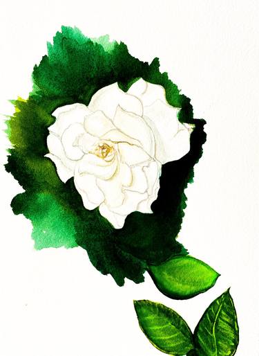 Print of Fine Art Floral Paintings by robin maguire