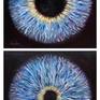 Two square panels of Dilating Irises