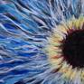 Iris detail2