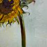 Wilting Sunflower2 Detail6