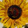 Sunflower3 Detail5