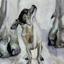Detail of Chihuahua