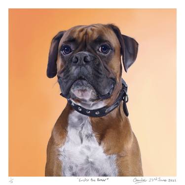Buster The Boxer - Limited Edition of 10 thumb