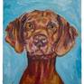 Portrait of Vizsla