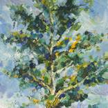 Collection Oil Paintings