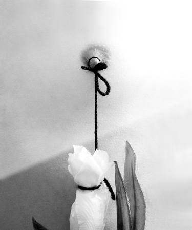 Original Fine Art Abstract Photography by Nadia Nardelli