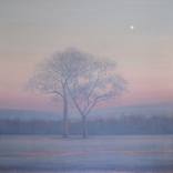 Two Trees at Dawn by Thomas Lamb