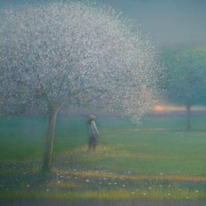 Orchard in Spring
