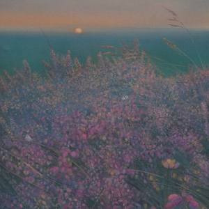 Butterflies amongst Heather