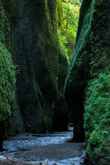 Oneonta Gorge - Limited Edition 10 of 10 thumb