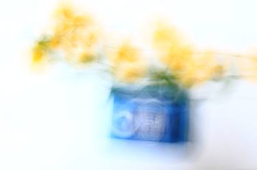 Print of Impressionism Floral Photography by PHOTOARTCM Carlos Marques