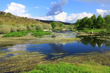 Feelings and peace on the river - Limited Edition 1 of 5 thumb