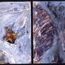 Collection Diptychs 1988-1999