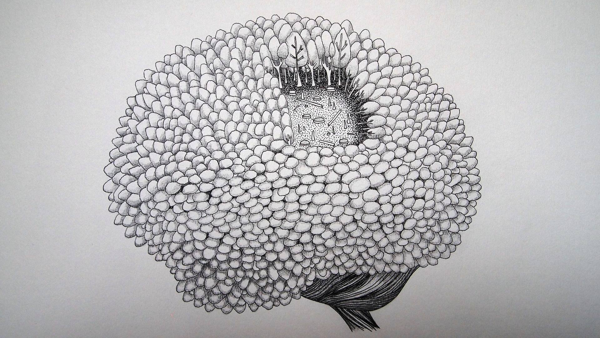 Deforestation Drawing By Lila Darkstar Saatchi Art Deforestation Drawing By Lila Darkstar Saatchi Art
