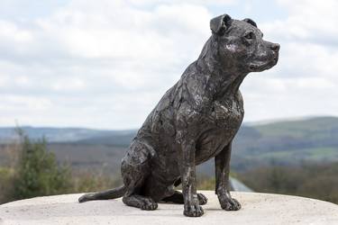 Sitting American Staffordshire Bull Terrier (Bronze Resin statue) thumb