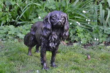 Standing Cavalier King Charles Spaniel (Foundry Bronze statue) thumb