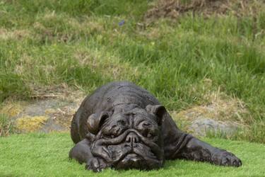 Lying English Bulldog (Bronze Resin statue) thumb