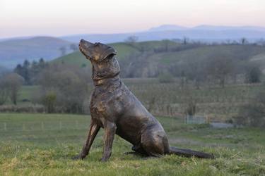 Sitting Labrador (Bronze Resin statue) thumb