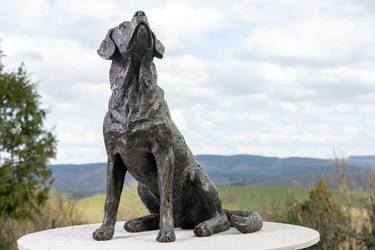 Labrador Looking Up  (Bronze Resin statue) thumb
