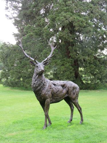 Standing Red Deer Stag (Bronze Resin, Lifesized, Outdoor) thumb