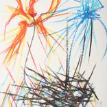 Collection Fragility & Tear