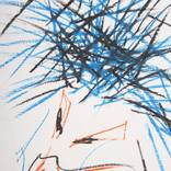 Collection Fragility & Tear