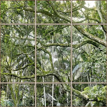 SAVE THE ATLANTIC FOREST #1 Polyptych  - thumb