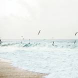 Flying in the Waves #2  - Fernando de Noronha Archipelago by Sergio Kovacevick
