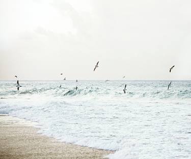 Flying in the Waves #2  - Fernando de Noronha Archipelago thumb
