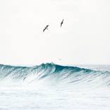 Flying in the Waves #1P - Fernando de Noronha Archipelago - by Sergio Kovacevick