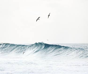 Flying in the Waves #1P - Fernando de Noronha Archipelago - thumb