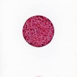 set "circle" thumb