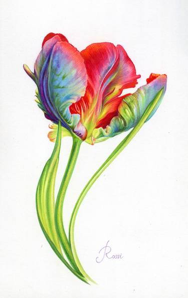 Parrot Tulip thumb